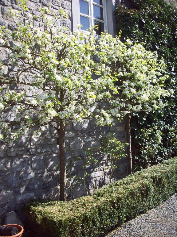 B&B La Buissonniere Xhoris Exterior photo